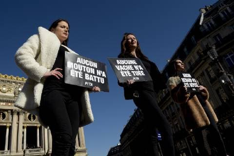 UN PODIUM DE HAUTE COUTURE VEGANE SURGIT EN PLEINE FASHION WEEK DE PARIS NEWS : Action PETA Paris Fashion Week - 25 02 2019 - Place de l Opera JBAutissier Panoramic 