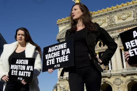 UN PODIUM DE HAUTE COUTURE VEGANE SURGIT EN PLEINE FASHION WEEK DE PARIS NEWS : Action PETA Paris Fashion Week - 25 02 2019 - Place de l Opera JBAutissier Panoramic 
