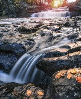 Lower Aysgarth Falls on the River Ure, autumn, Wensleydale, Yorkshire Dales National Park, North Yorkshire, England, United Kingdom, Europe Copyright: StephenxTomlinson 1309-17