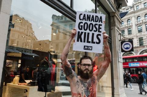 March 1, 2019 - London, Greater London, United Kingdom - An activist from People for the Ethical Treatment of Animals (PETA) holds a placard outside Canada Goose flagship store in London on 01 March, 2019, during a protest against use of coyote fur by the retailer and the cruel practices associated with its sourcing. London United Kingdom  - ZUMAn230 20190301_zaa_n230_362 Copyright: xWiktorxSzymanowiczx