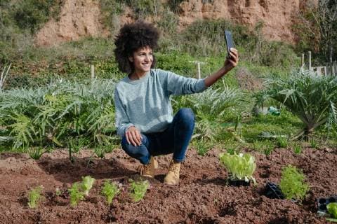 IMAGO Creative: Landleben - Alfresco, Draußen Woman taking selfies of planting lettuce seedlings in an vegetable garden model released Symbolfoto property released  GEMF02701