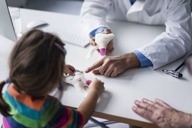 Doctor explaining tooth model to girl at desk in medical practice model released Symbolfoto property released  JOSF02832