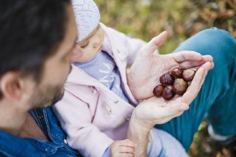 IMAGO Creative: Herbst, Kastanien sammeln Father searching for chestnuts in park, with baby daughter on his lap model released Symbolfoto  DIGF03187