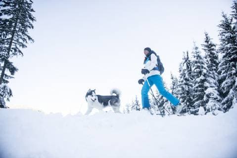 Austria, Altenmarkt-Zauchensee, young woman with dog in winter forest model released Symbolfoto property released  HHF05537