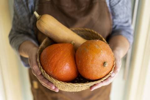 Hands holding pumpkins in a basket model released Symbolfoto  AFVF02063