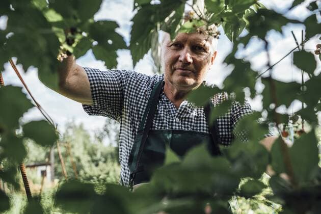 Gardener in garden model released Symbolfoto property released  VPIF01120