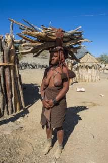 IMAGO Cultures of the world, Himba Volk in Namibia Himba-Frau mit Holz auf dem Kopf, Kaokoland, Namibia, Afrika *** Himba woman with wood on her head Kaokoland Namibia Africa Copyright: imageBROKER/MichaelxRunkel iblrun04838105.jpg