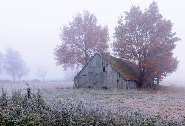 Feldscheune im Nebel, Deutschland, Niedersachsen barn on the field in mist, Germany, Lower Saxony BLWS522399 Copyright: xblickwinkel McPHOTO W.xRolfesx