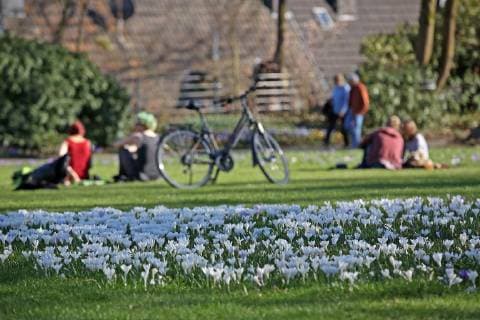 IMAGO Creative, Ostern, Bräuche, Osterspaziergang Ein wunderschoener Fruehlingstag Tag bei angenehmen Temperaturen und Traumwetter lockt die Menschen in den Schlossgarten am Oberen Schloss, Krokusse bluehen auf der Wiese Fruehling im Siegerland am 21.03.2019 in Siegen Deutschland. *** A wonderful spring day day with pleasant temperatures and dream weather attracts the people in the castle garden at the upper castle Krokusse bloehen auf der Wiese Fruehling in the Siegerland on 21 03 2019 in Siegen Germany.