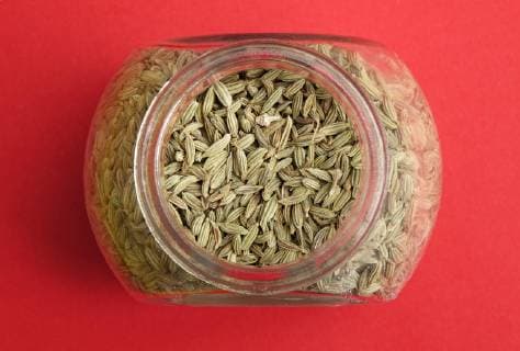 Fenchelsamen im Glas, Fenchel (Foeniculum vulgare), Deutschland, Europa Copyright: imageBROKER/UlrichxZillmann ibxuzi04859554.jpg