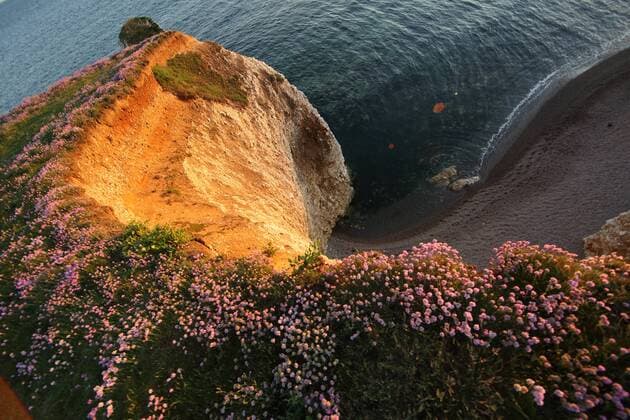 25.05.2017, Freshwater, Isle of Wight, GBR - Felsen an der Freshwater Bay im Abendlicht. (Abend, Abendlicht, abends, Abgrund, Aermelkanal, Aufsicht, aussen, Aussenaufnahme, Blueten, Blumen, britisch, Bucht, einsam, Einsamkeit, England, englisch, Europa, europaeisch, Felsen, Freshwater, Freshwater Bay, Fruehjahr, Fruehling, Gestein, Gewaesser, Grossbritannien, Hang, Isle of Wight, Jahreszeit, Kliff, Kliffhang, Klippen, Kreide, Kreidefelsen, Kreidekueste, Kueste, Landschaft, Licht, Lichtstimmung, Meer, Natur, niemand, QF, Querformat, Reiseziel, Solent, Sonne, Sonnelicht, Sonnenuntergang, Steilkueste, Stein, Vegetation, violett, Vogelperspektive, Wasser, Westeuropa) 170525D136ENGLAND.JPG *** 25 05 2017 Freshwater Isle of Wight GBR rocks at Freshwater Bay in the evening light evening light evening light abyss abyss sleeve channel view outsid