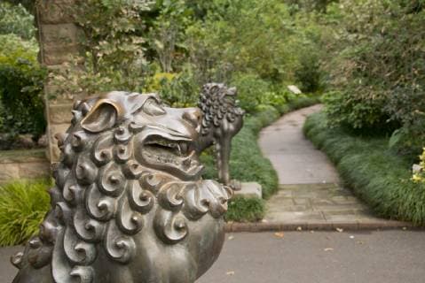 Australia, NSW, Sydney, Royal Botanic Gardens. Mythological lion statue in front of garden path.  Copyright: xCindyxMillerxHopkinsx AU01 CMI0166