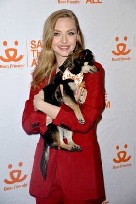Entertainment Themen der Woche KW14 Entertainment Bilder des Tages April 2, 2019 - New York, NY, USA - April 2, 2019 New York City..Amanda Seyfried attending the Animal Society Best Friends Benefit on April 2, 2019 in New York City. New York USA *** April 2 2019 New York NY USA April 2 2019 New York City Amanda Seyfried attending the Animal Society Best Friends Benefit on April 2 2019 in New York City New York USA  - ZUMAny1_ 20190402_zaf_ny1_111 Copyright: xKristinxCallahanx