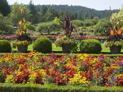 Canada, British Columbia, Victoria, Buchart Gardens, Italian Garden (For Editorial Use Only)  Copyright: xJamiex&xJudyxWildx CN02 JWI0082