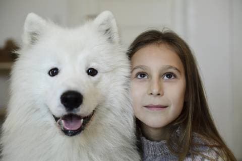 IMAGO Creative: Countdown bis Weihnachten, Wunschzettel schreiben Portrait of girl with her white dog model released Symbolfoto property released  ECPF00283