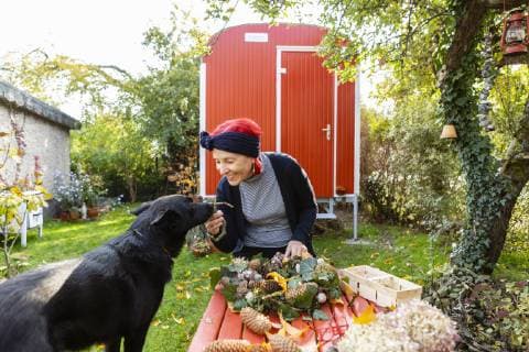 Smiling senior woman with red dyed hair stroking her dog while tinkering autumnal decoration model released Symbolfoto property released  OJF00296