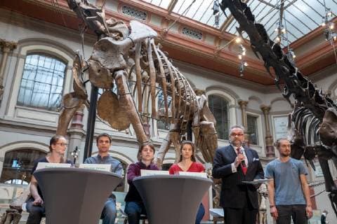 News Bilder des Tages FridaysForFuture PK Schülerinnen und Schüler der Bewegung Fridays for Future stellen auf einer Pressekonferenz im Berliner Naturkundemuseum ihre Forderungen an die Politik vor. Im Bild Svenja Kannt, Sebastian Grieme, Linus Steinmetz, Sana Strahinjic, Prof. Johannes Vogel (Generaldirektor des Museums für Naturkunde Berlin) und Tom Patzelt (v.l.n.r.). Berlin Berlin Deutschland