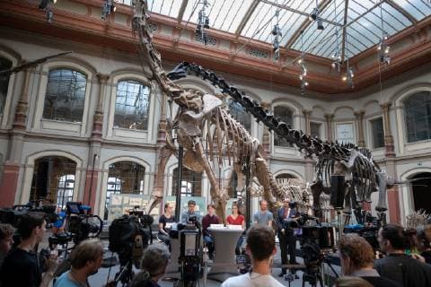 FridaysForFuture PK Schülerinnen und Schüler der Bewegung Fridays for Future stellen auf einer Pressekonferenz im Berliner Naturkundemuseum ihre Forderungen an die Politik vor. Im Bild Svenja Kannt, Sebastian Grieme, Linus Steinmetz, Sana Strahinjic, Tom Patzelt und Prof. Johannes Vogel (Generaldirektor des Museums für Naturkunde Berlin) (v.l.n.r.). Berlin Berlin Deutschland