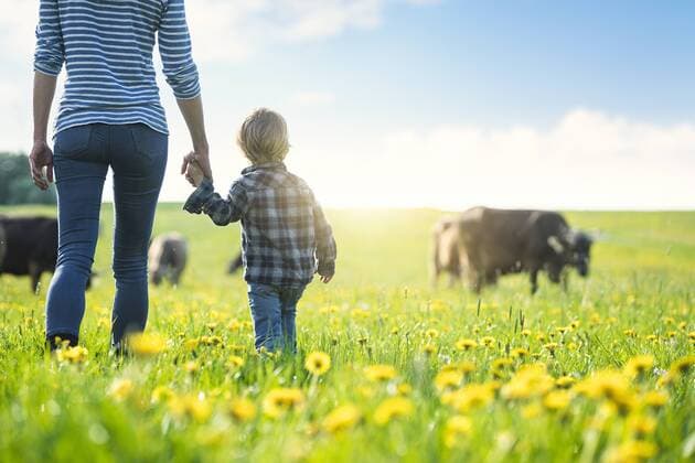 Mother and son holding hands and looking at cows grazing on a meadow with dandelions model released Symbolfoto property released  SBOF01696