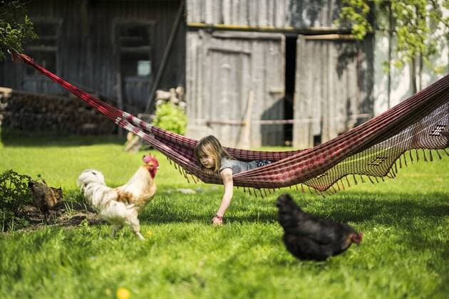 Girl relaxing in hammock in garden of a farm with chicken in foreground model released Symbolfoto property released  SBOF01699