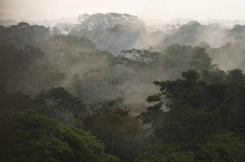 IMAGO Nature: Unsere Erde, Naturschutz, Naturschutzgebiete in Südamerika Canopy Scenic, Yasuni National Park, Amazon Rainforest, ECUADOR. South America  Copyright: xPetexOxfordx SA07 POX2330