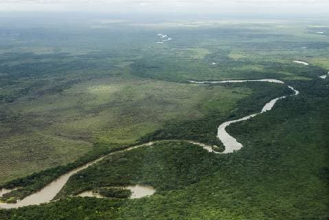 Aerial view of Rupununi River, southern Guyana  Copyright: xKerenxSux SA11 KSU0084