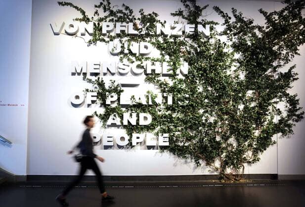 Entertainment Themen der Woche KW16 Entertainment Bilder des Tages Zu einem Streifzug ueber den gruenen Planeten laedt das Deutsche Hygiene-Museum Dresden von Freitag (19.04.2019) an ein (Foto vom 18.04.2019). Die neue Ausstellung widme sich dem zwiespaeltigen Verhaeltnis des Menschen zur Welt der Pflanzen, teilte das Museum am Donnerstag mit. Erstmals in der europaeischen Museumslandschaft werde eine umfassende und interdisziplinaere Annaeherung an die wichtigsten Mit-Lebewesen unternommen. (Siehe epd-Bericht vom 18.04.2019) Dresdner Ausstellung Streifzug ueber den gruenen Planeten *** On Friday 19 04 2019, the Deutsche Hygiene Museum Dresden invites you to a tour of the green planet with a photo from 18 04 2019 The new exhibition is dedicated to the ambivalent relationship between man and the world of plants. The museum shared on Thursday with For the first time in the European museum landscape, Copyright: epd-bild MatthiasxSchumann EDITORIAL USE ONLY