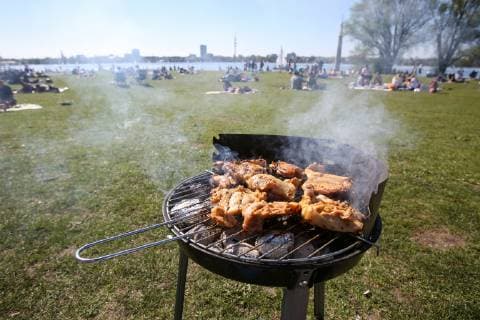 Grillen an der Alster in Hamburg 21.04.2019, DEU, Deutschland, Hamburg: Fleisch liegt bei sommerlichem Wetter auf einem Grill an der Außenalster in Hamburg. Hamburg Hamburg Deutschland