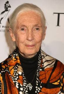 April 23, 2019 - New York City, New York, U.S. - JANE GOODALL attends the arrivals for the 2019 TIME 100 Gala held at the Time Warner Center. New York City U.S. - ZUMAk03_ 20190423_zaf_k03_053 Copyright: xNancyxKaszermanx