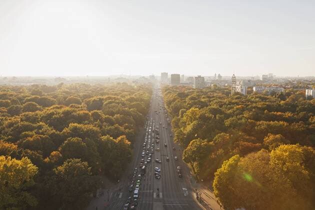 Deutschland, Berlin, Tiergarten Germany, Berlin, view to Großer Tiergarten with Strasse des 17. Juni from Victory Column in autumn  GWF05822