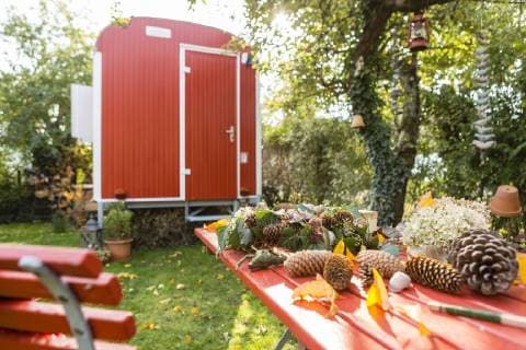 IMAGO Creative: Herbst, Herbstkränze Hortensias, pine cones and ivy for tinkering autumnal wreath on garden table property released  OJF00291
