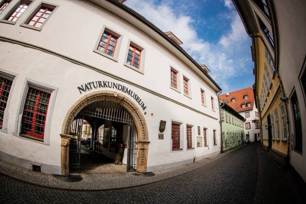 Erfurt , 120418 , Naturkundemuseums Erfurt, Speckkäfer helfen Tierpräparatoren bei der Arbeit Im Bild: Außenansicht, Naturkundemuseum Erfurt