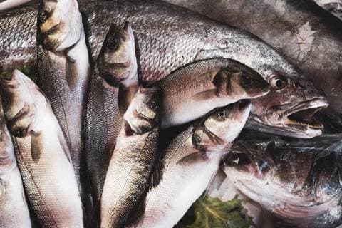 IMAGO Creative: 2021 Favoriten High angle close up of fresh fish at a market stall. High angle close up of fresh fish at a market stall.  57488