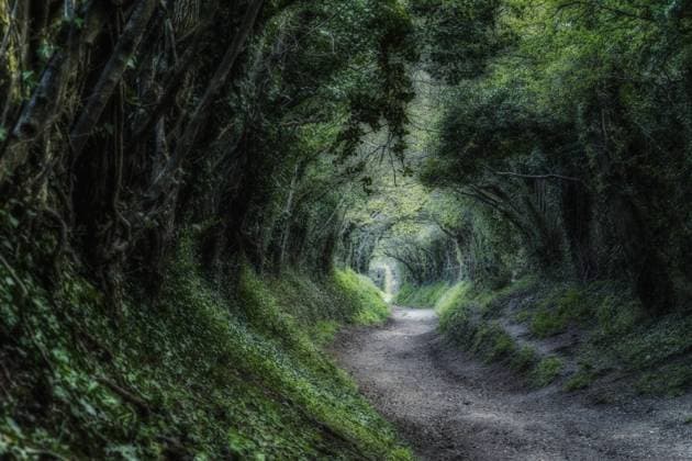 Mill Lane, Halnaker, Sussex, England, United Kingdom, Europe *** Mill Lane Halnaker Sussex England United Kingdom Europe