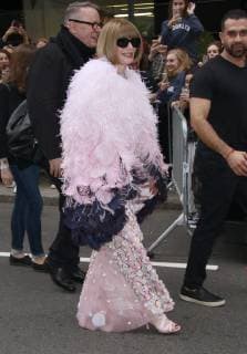NEW YORK, NY - MAY 6: Anna Wintour seen leaving The Mark Hotel for the 2019 Met Gala in New York City on May 6, 2019. Copyright: xMediaPunchx