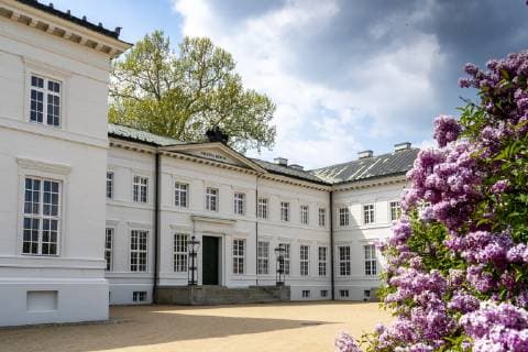 Blühender Flieder vor dem Schloss Neuhardenberg in Neuhardenberg (Landkreis Märkisch-Oderland). Foto: Volker Hohlfeld Schloss Neuhardenberg *** Blossoming lilac in front of the castle Neuhardenberg in Neuhardenberg district Märkisch Oderland Photo Volker Hohlfeld castle Neuhardenberg