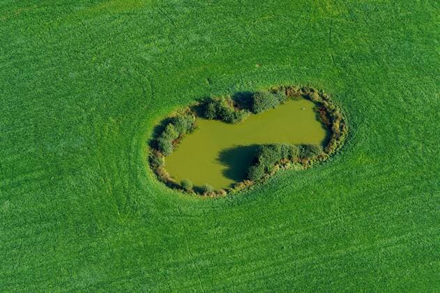 veralgter Teich inmitten ueberduengter Feldlandschaft, Toteisloch in Schleswig Holstein, Luftbild, Deutschland, Schleswig-Holstein, Mitte Geest overgrown pond in a overfertilized fields, kettle hole, aerial picture, Germany, Schleswig-Holstein, Mitte Geest BLWS529830 Copyright: xblickwinkel C.xKaiserx