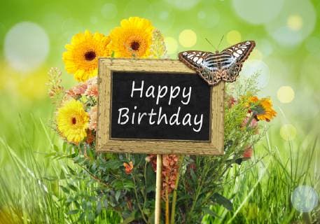 Geburtstag - Symbolbilder Kleine Schiefertafel mit Schmetterling vor einer Wiese mit Aufschrift HAPPY BIRTHDAY (Alles Gute zum Geburtstag) Small blackboard with a butterfly against a flower meadow lettering HAPPY BIRTHDAY BLWS523033 Copyright: xblickwinkel McPHOTO M.xGannx