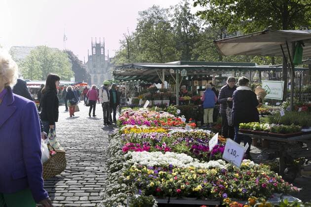 Wochenmarkt in der westfaelischen Stadt Muenster, 30.04.2019. Muenster Deutschland