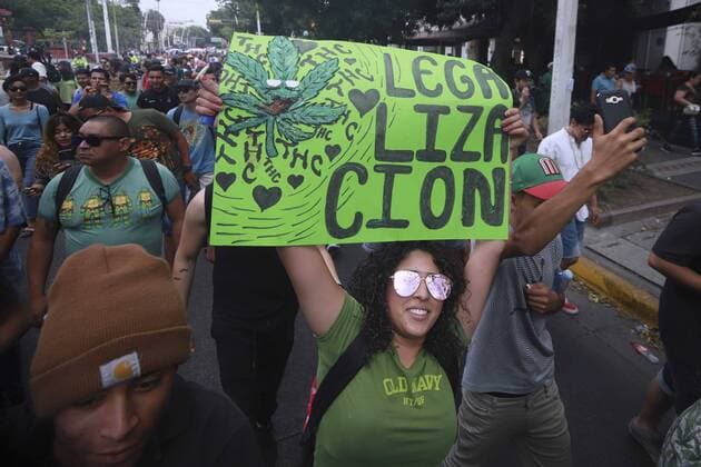 May 16, 2019 - EUM20190516NAC01.JPG .CIUDAD DE MEXICO. LegalizationLegalizacion-Marihuana.- 16 de mayo de 2019. El numero de solicitudes para el uso de la marihuana aumenta ante la Comision Federal para la Proteccion contra Riesgos Sanitarios (Cofepris): de 2013 a 2018 se registraron 636. Para uso recreativo son 571, por motivo medicinales 39 y en el ambito industrial 15. Foto: Archivo Agencia EL UNIVERSALEELG Copyright: xElxUniversalx