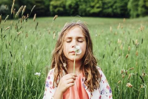 Portrait of girl with blowball on a meadow model released Symbolfoto  ANHF00098