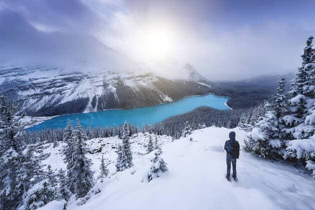 Canada, Alberta, Banff National Park, Peyto Lake, man enjoying view model released Symbolfoto  EPF00584