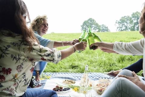 Happy women clinking beer bottles at a picnic in park model released Symbolfoto  IGGF00985