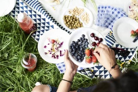 Top view of woman eating berries at a picnic in park model released Symbolfoto  IGGF00993