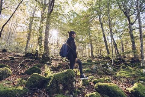 IMAGO Creative, Lifestyle, Tik Tok-Trend thatgirl Spain, Navarra, Irati Forest, young woman standing in lush forest model released Symbolfoto  RSGF00135