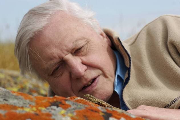 IMAGO ICONS: Sir David Attenborough PRESENTER Sir David Attenborough watching a Side blotched lizard (Uta stansburiana) on rock, Santa Nella, California, USA. For BBC television series Life in Cold Blood , April 2006  1285693 JamesxBrickell