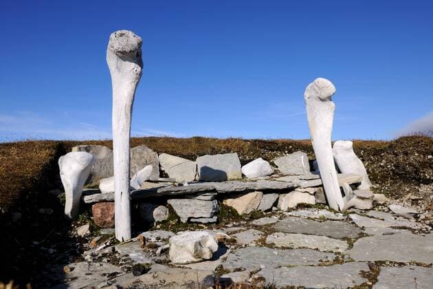 CANADA Inuit vestige from the Thule culture (-3000 BC) Resolute village, Cornwallis Island, Nunavut, Canada, August 2010  1305550 EricxBaccega