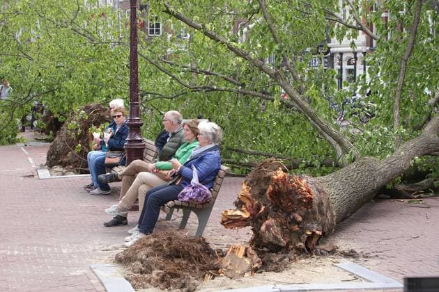News Themen der Woche KW23 News Bilder des Tages June 6, 2019 - Amsterdam, Netherlands - People are seen next the auprooted trees that fell on the street on June 6, 2019 in Amsterdam,Netherlands. Severe gales battered the NetherÃ¢â‚¬¹lands to a halt as winds reached 120 kilometres (75 miles) an hour, 150 trees fell and five people were injured including one person hit by a falling tree next to the Amstel river during storm last night in Amsterdam. Amsterdam Netherlands  - ZUMAn230 20190606_zaa_n230_106 Copyright: xPauloxAmorimx