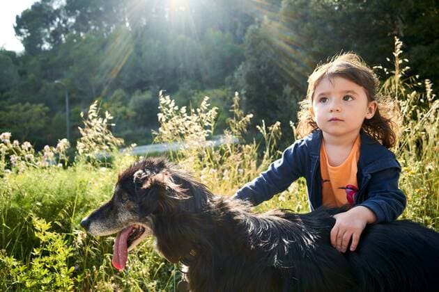 Portrait of toddler girl stroking dog model released Symbolfoto property released  GEMF02966