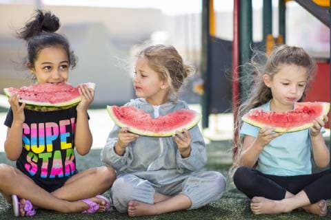 Three girls eating watermelons in kindergarten model released Symbolfoto property released  ZEF15473